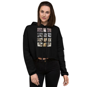 Being Watched Crop Hoodie